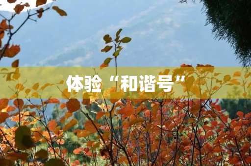 体验“和谐号” 体验“和谐号”