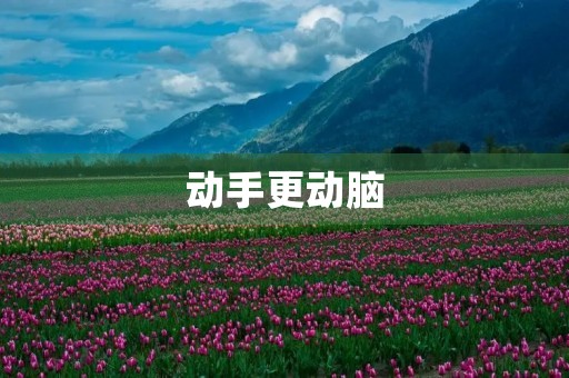 动手更动脑 动手更动脑