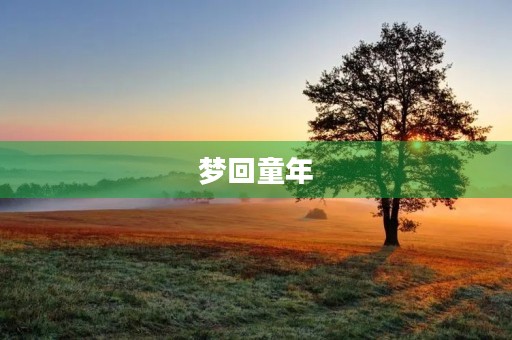 梦回童年 梦回童年
