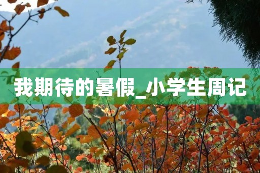 我期待的暑假_小学生周记 我期待的暑假_小学生周记