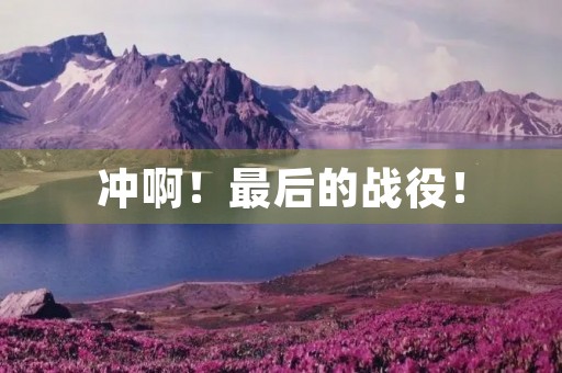 冲啊！最后的战役！