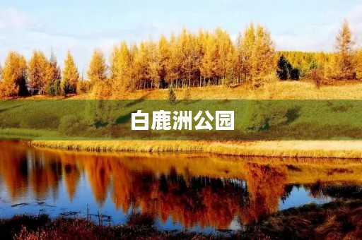 白鹿洲公园 白鹿洲公园