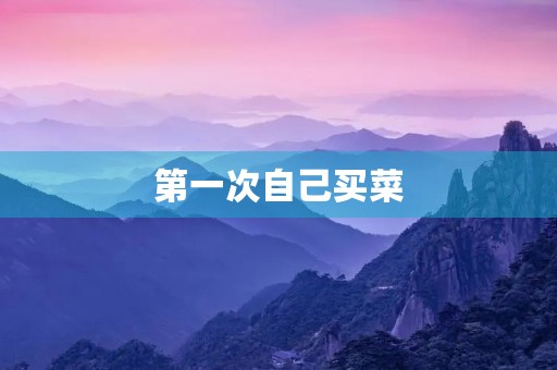 第一次自己买菜 第一次自己买菜