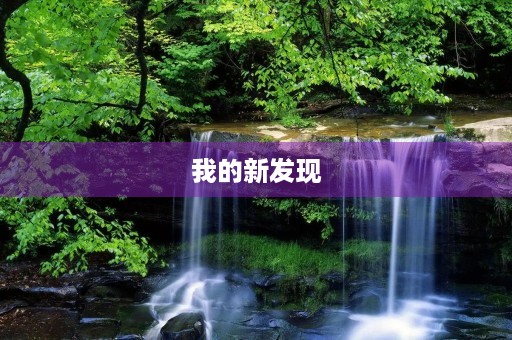 我的新发现 我的新发现