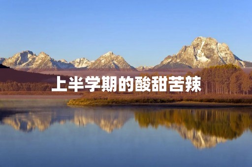 上半学期的酸甜苦辣 上半学期的酸甜苦辣