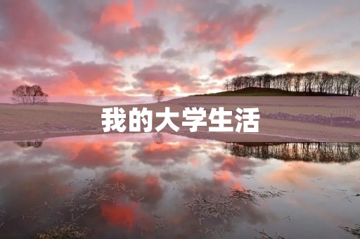 我的大学生活 我的大学生活