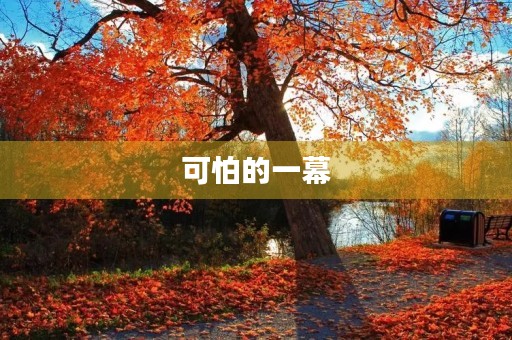 可怕的一幕