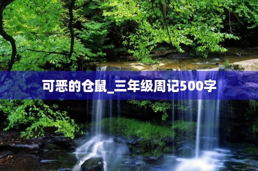 可恶的仓鼠_三年级周记500字 可恶的仓鼠_三年级周记500字