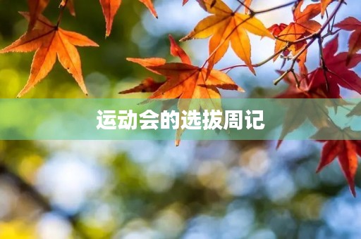 运动会的选拔周记 运动会的选拔周记