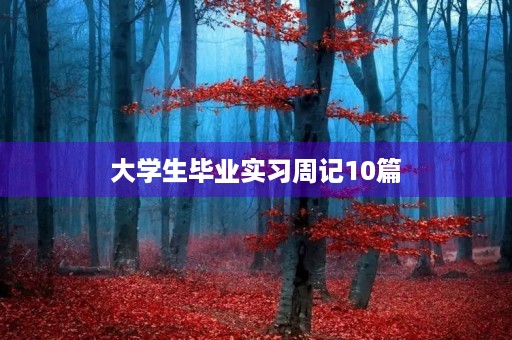 大学生毕业实习周记10篇