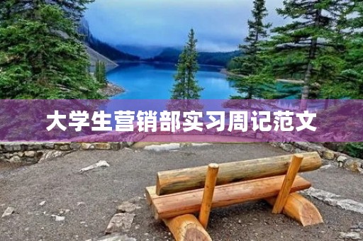 大学生营销部实习周记范文 大学生营销部实习周记范文