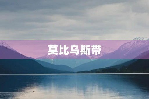 莫比乌斯带 莫比乌斯带