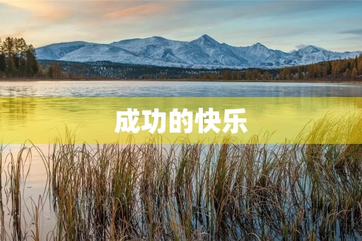 成功的快乐 成功的快乐