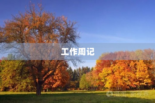 工作周记 工作周记