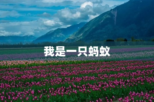 我是一只蚂蚁 我是一只蚂蚁