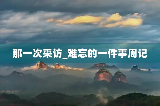 那一次采访_难忘的一件事周记