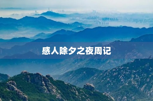 感人除夕之夜周记 感人除夕之夜周记