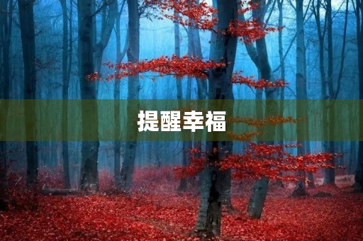 提醒幸福