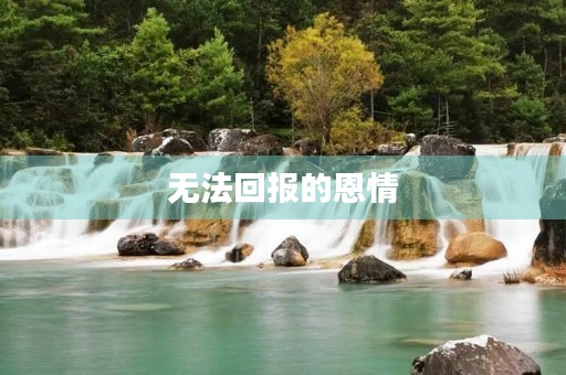 无法回报的恩情