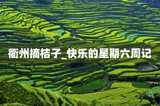 衢州摘桔子_快乐的星期六周记 衢州摘桔子_快乐的星期六周记