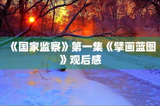 《国家监察》第一集《擘画蓝图》观后感
