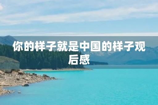 你的样子就是中国的样子观后感