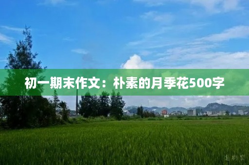 初一期末作文：朴素的月季花500字