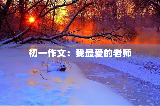 初一作文：我最爱的老师