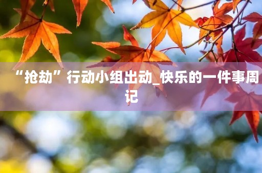 “抢劫”行动小组出动_快乐的一件事周记