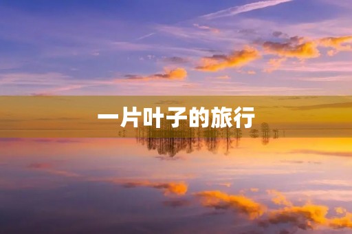 一片叶子的旅行