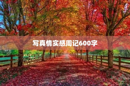 **情实感周记600字 **情实感周记600字