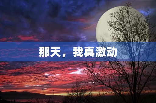 那天,我真激动 那天,我真激动