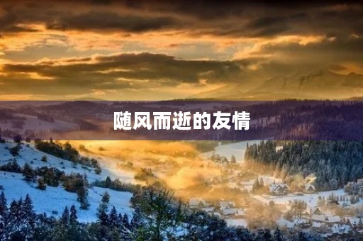 随风而逝的友情 随风而逝的友情