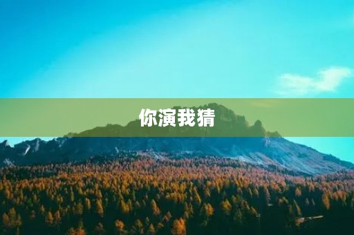 你演我猜 你演我猜