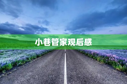 小巷管家观后感