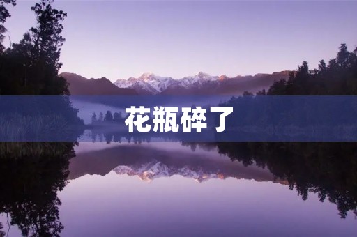 花瓶碎了 花瓶碎了