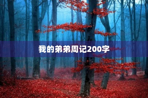 我的弟弟周记200字 我的弟弟周记200字