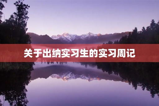 关于出纳实习生的实习周记 关于出纳实习生的实习周记