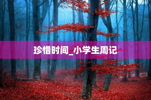 珍惜时间_小学生周记 珍惜时间_小学生周记