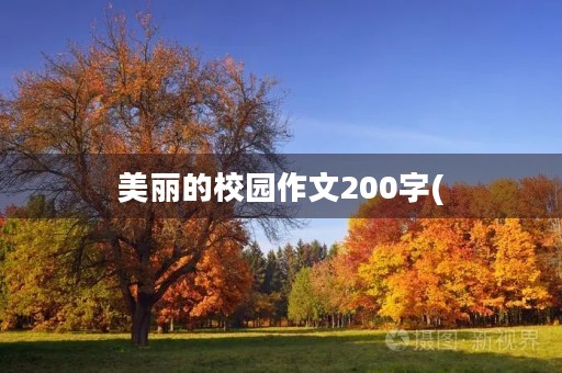 美丽的校园作文200字(