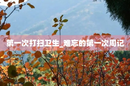 第一次打扫卫生_难忘的第一次周记 第一次打扫卫生_难忘的第一次周记