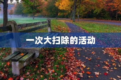 一次大扫除的活动 一次大扫除的活动