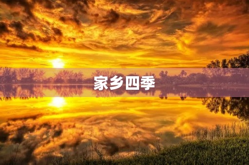 家乡四季 家乡四季