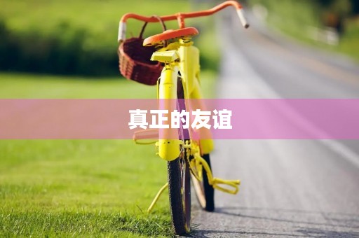 真正的友谊