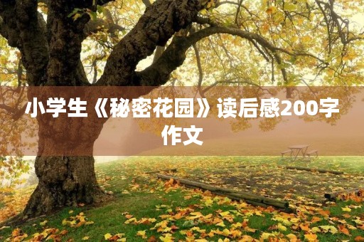 小学生《秘密花园》读后感200字作文 小学生《秘密花园》读后感200字作文