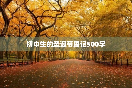 初中生的圣诞节周记500字
初中生的圣诞节周记500字