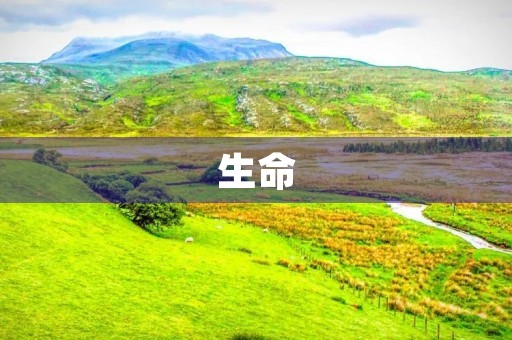 生命 生命