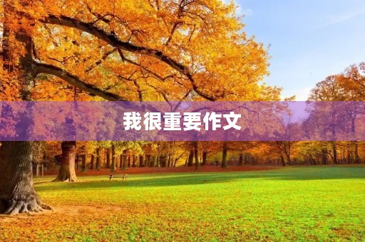 我很重要作文 我很重要作文