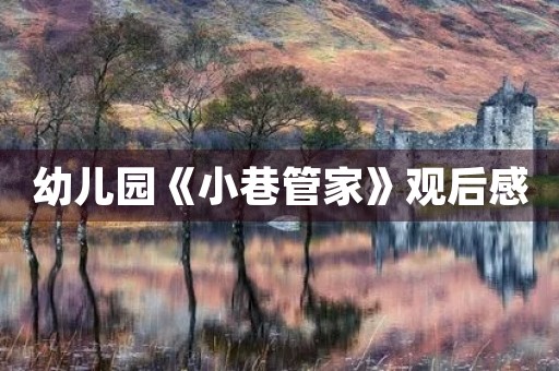 幼儿园《小巷管家》观后感