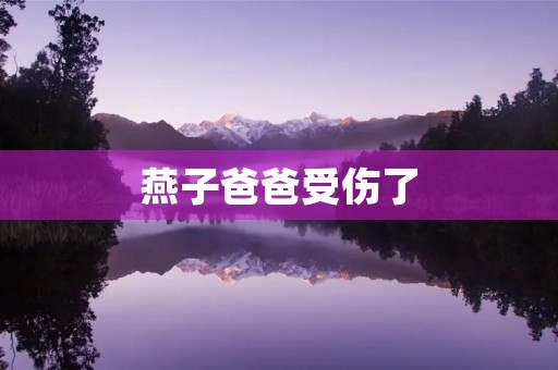 燕子爸爸受伤了 燕子爸爸受伤了